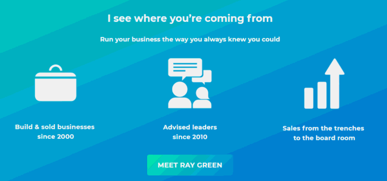 Experience summary and “Meet Ray Green”